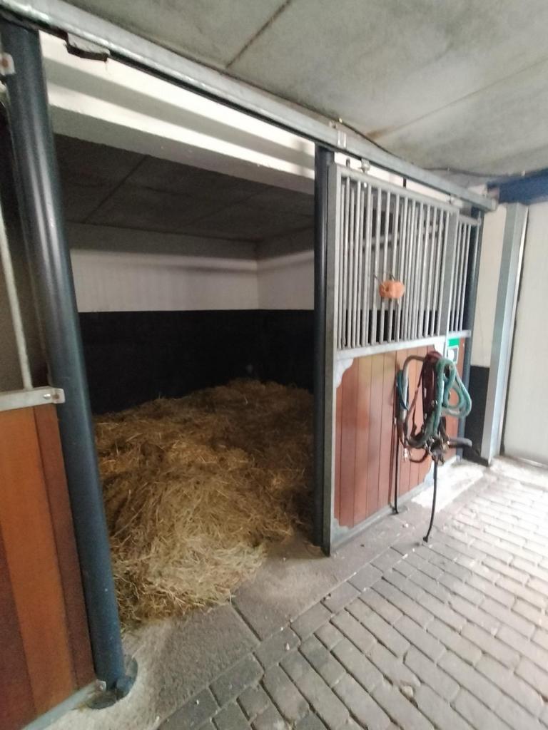 Stalling voor gepensioneerde niet rijdende pony/paard., Stalling, 1 paard of pony