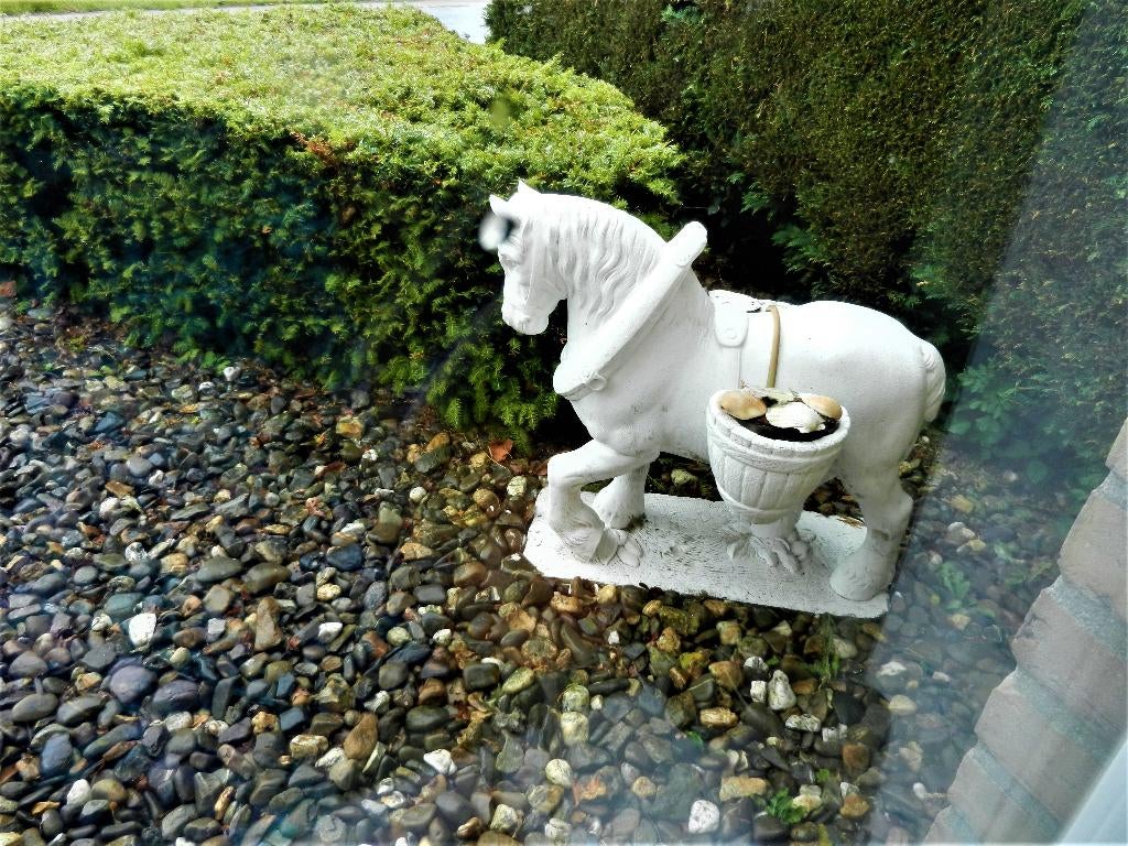 betonnen schelpenpaard, Tuin en Terras, Tuinbeelden, Ophalen of Verzenden, Gebruikt, Beton, Dierenbeeld