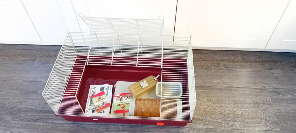 Caviakooi, rattenkooi., Ophalen, Kooi, Minder dan 60 cm