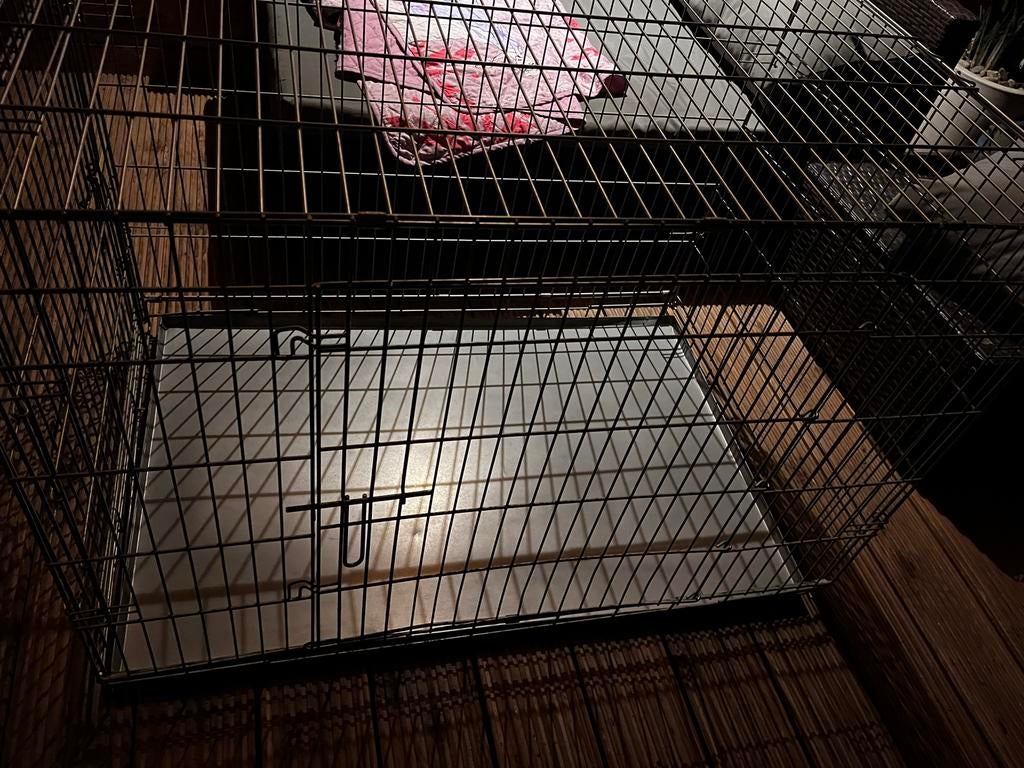 Grote Honden bench, Ophalen of Verzenden, Gebruikt