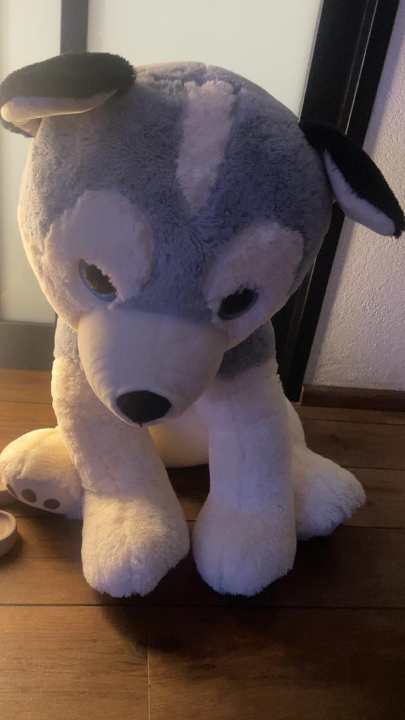 Grote Kermis Knuffel Hond - Zo goed als nieuw, Ophalen, Zo goed als nieuw, Hond