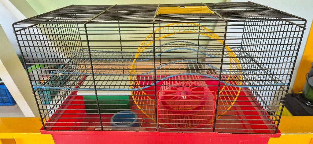 Aquarium en hamsterkooi, Kooi, Gebruikt, Minder dan 75 cm, Cavia