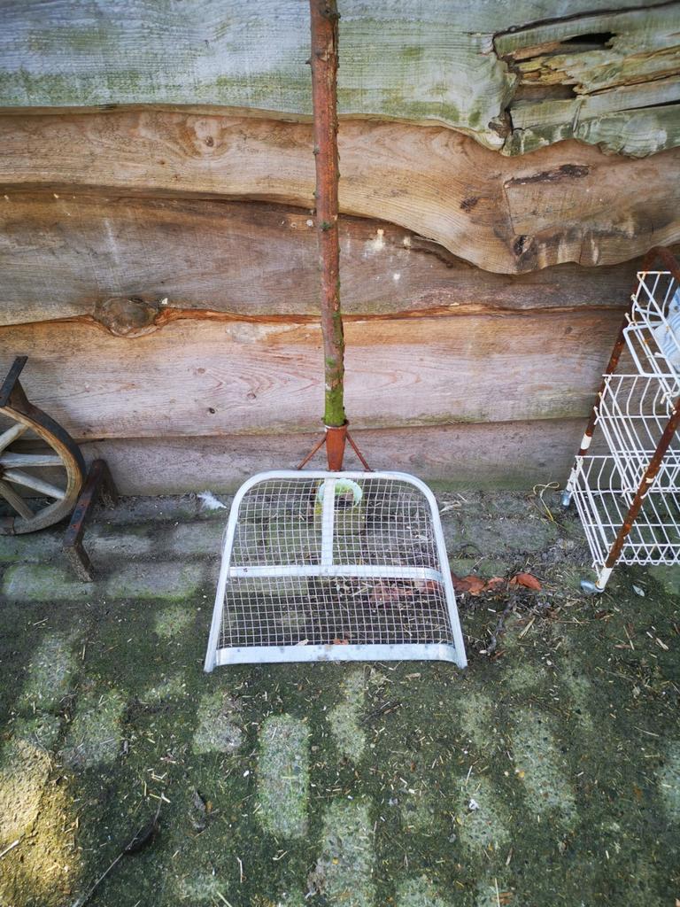 Zeef schep, Ophalen, Kippenhok of Kippenren