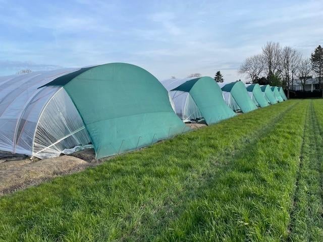 storm doeken voor tunnel kassen, Overige materialen, Overige materialen, Kweekkas, Ophalen of Verzenden