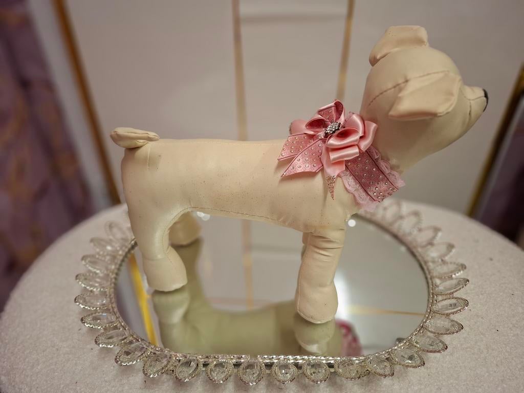 Halsband, Ophalen of Verzenden, Nieuw