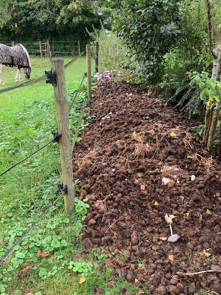 Biologische Paardenmest vol wormen, Tuin en Terras, Aarde en Mest, Ophalen, Mest