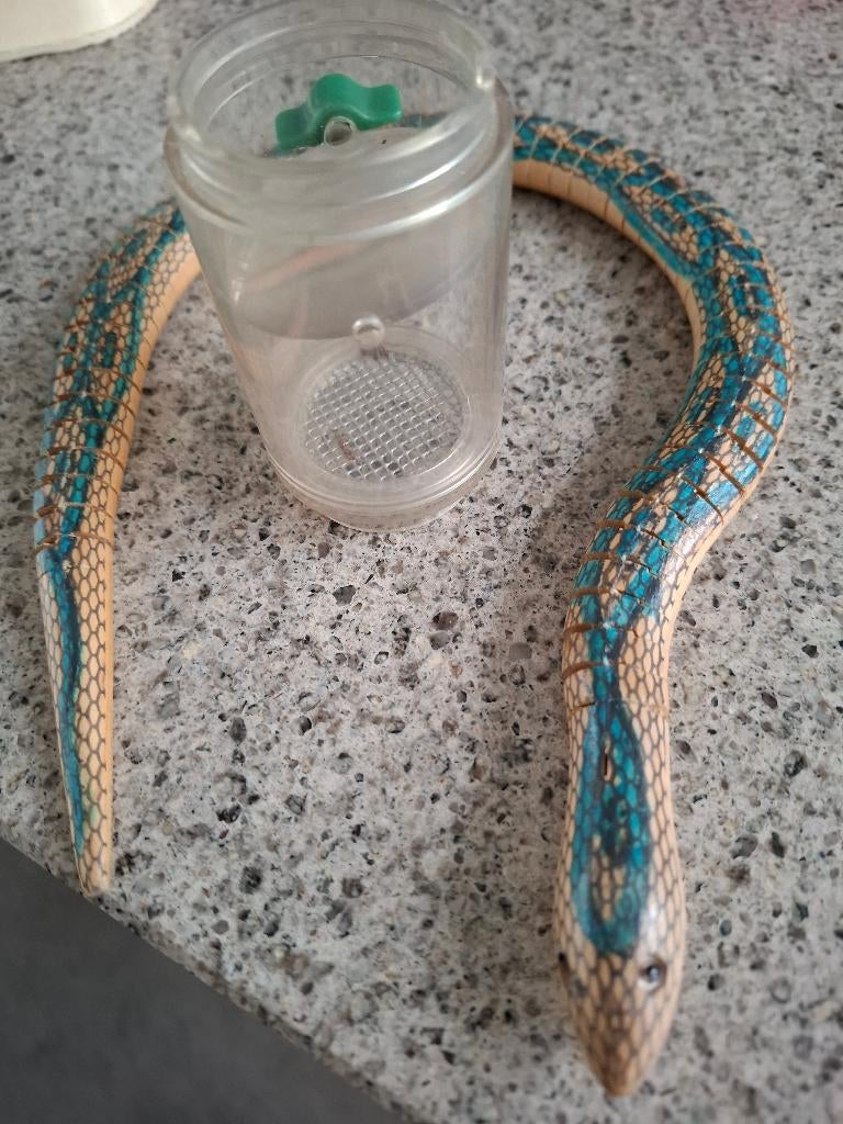 SLANG EN INSECTENLOEP, Ophalen of Verzenden, Gebruikt