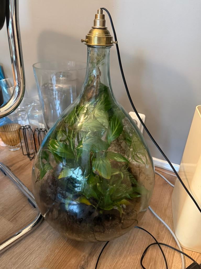 Terrarium 65 cm hoog, Ophalen, Gebruikt