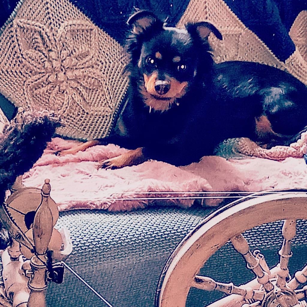 Superdunne wollen draadjes leren spinnen op het spinnewiel, Ophalen