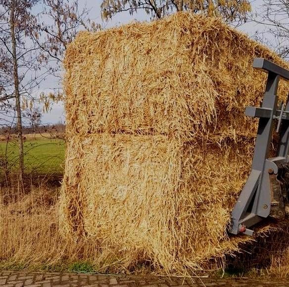Hooi stro kleine en grote balen en pakken, Ophalen of Verzenden, Vee