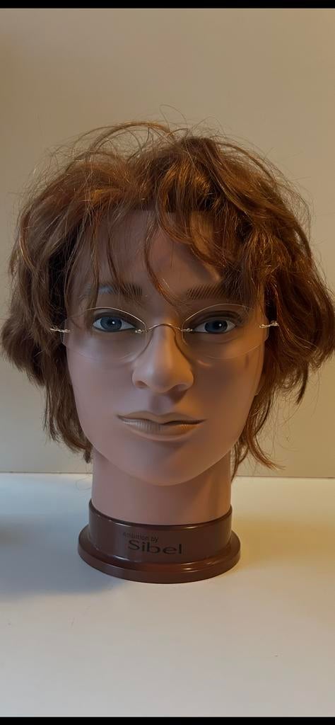 Silhouetten Unisex Brilmontuur ( in Hilversum ), Ophalen of Verzenden, Gebruikt, Bril
