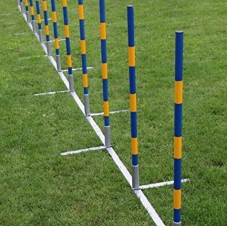 Agility Slalomset 12x Palen Recht Hondensport Behendigheid, Dieren en Toebehoren, Honden-accessoires, Ophalen of Verzenden, Nieuw