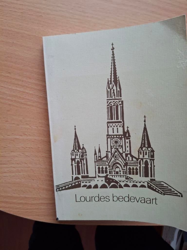 Oude Lourdes Bedevaart Gids, Ophalen of Verzenden, Zo goed als nieuw, Boek, Christendom | Katholiek