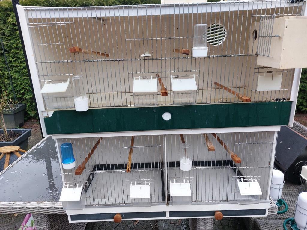 Broedhokken, Ophalen, Hout, Vogelkooi