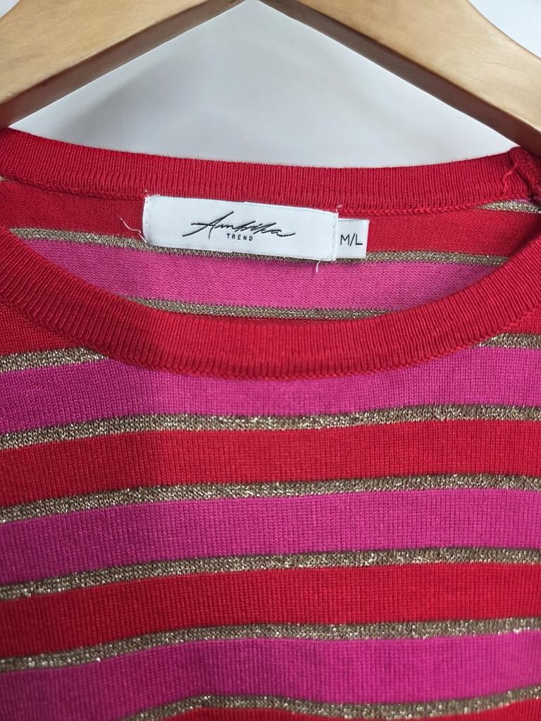 Ambika dunne trui maat M/L (2487*), Maat 38/40 (M), Zo goed als nieuw, Annika, Ambika