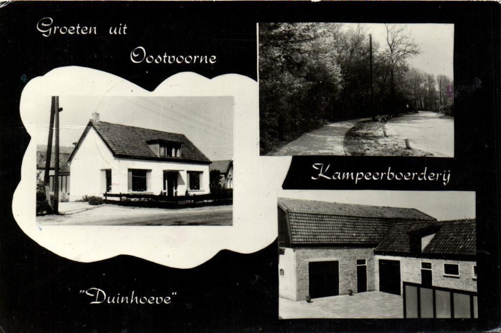 Groeten uit Oostvoorne - Kampeerboerderij Duinhoeve - 3 afb, Ophalen of Verzenden, Voor 1920, Gelopen, Noord-Brabant