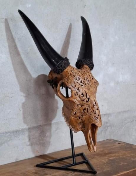 Handgesneden schedel op statief hangend geit schedel ibiza, Verzamelen, Dierenverzamelingen, Zo goed als nieuw, Schedel, Ophalen of Verzenden