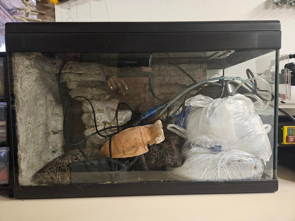 **Te koop: COMPLEET aquarium of als terrarium van glas**, Ophalen