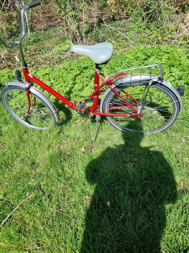 Vouwfiets of deelfiets., Fietsen en Brommers, Ophalen of Verzenden, Gebruikt, 20 inch of meer