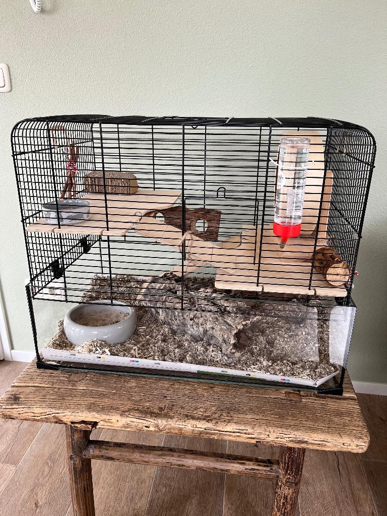 Hamsterkooi incl. hamster, Kooi, Gebruikt, Minder dan 75 cm, Hamster