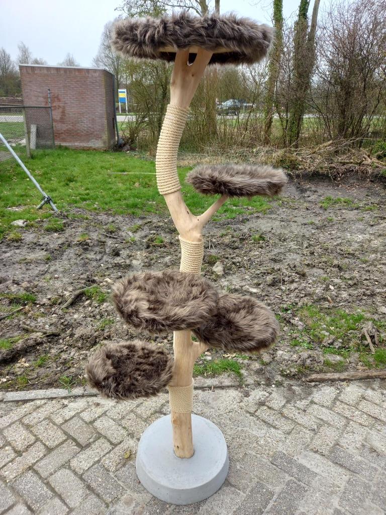 krabpaal, klimboom, boomstam krabpaal, Dieren en Toebehoren, Krabmeubelen, Ophalen, Nieuw, Krabpaal
