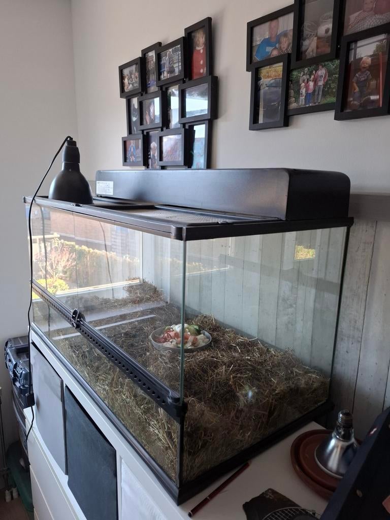 Exoterra terrarium 90x45x40cm. Met lichtkap en warmtelamp, Ophalen, Zo goed als nieuw, Terrarium of Paludarium