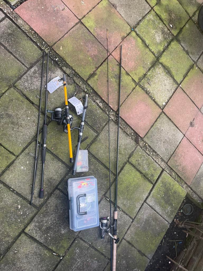 Vishengels met visgerei, Ophalen, Gebruikt, Complete hengel