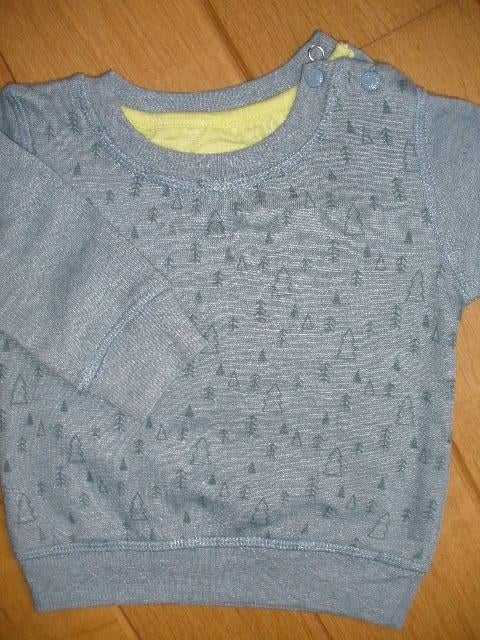 Sweater groen met dennenboompjes maat 68, Ophalen of Verzenden, Zo goed als nieuw, Jongetje, Truitje of Vestje