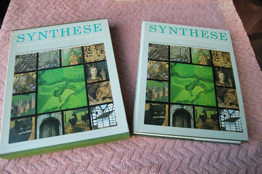 Synthese Zuid Limburg, Boeken, Ophalen of Verzenden, Gelezen