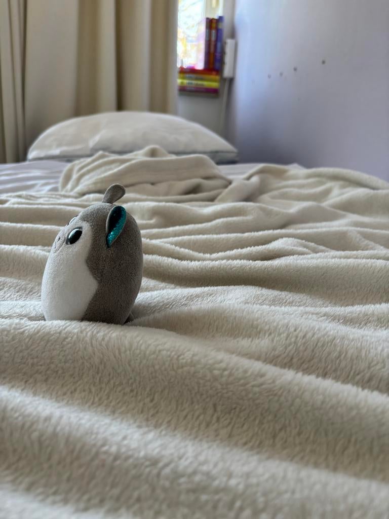 Knuffel husky, Gebruikt, Overige merken, Overige karakters, Grijs