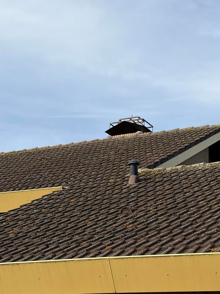 Gebruikte dakpannen - ca. 100m2 beschikbaar, Doe-het-zelf en Verbouw, Dakpannen en Dakbedekking, Gebruikt, Steen of Klei, Ophalen of Verzenden