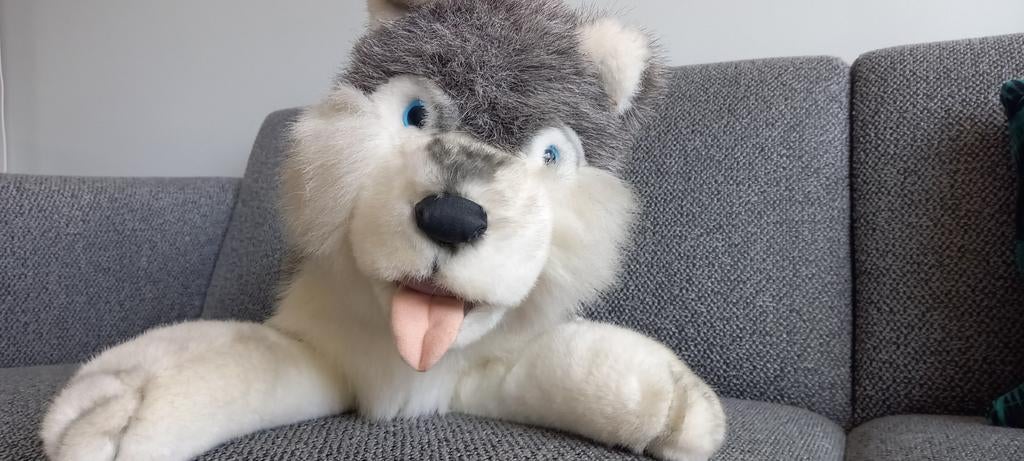Husky hond knuffel, Verzenden, Nieuw