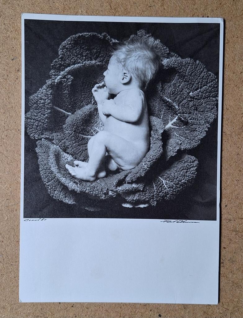 Paul Blanca - Benno, 1984. Kindje op kool., Ophalen of Verzenden, 1980 tot heden, Ongelopen, Kinderen