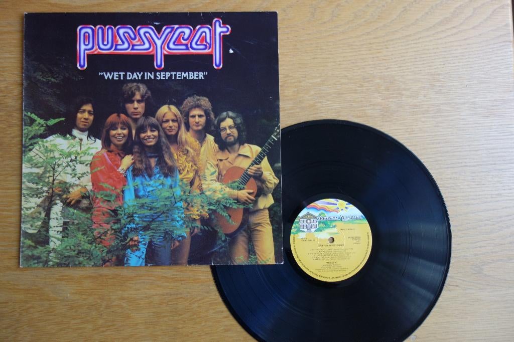 Lp Pussycat, Ophalen of Verzenden, Zo goed als nieuw, 12 inch