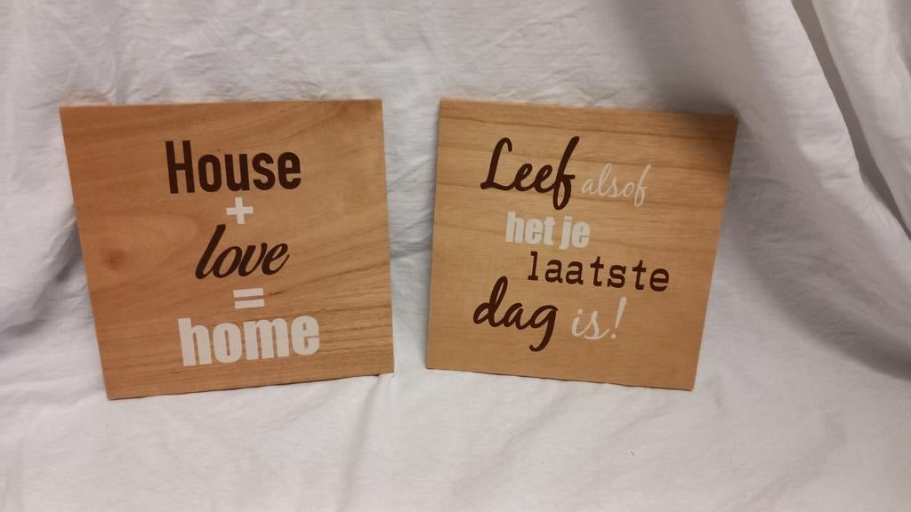 2 houten schilderijen, Minder dan 50 cm, Nieuw, Ophalen of Verzenden, Minder dan 50 cm