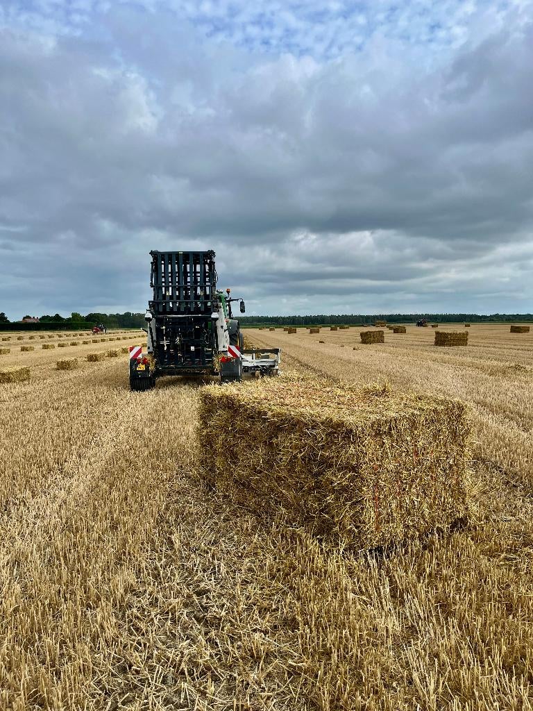 Stro bundels | Strak per 12, mooi gewicht, Ophalen, Vee