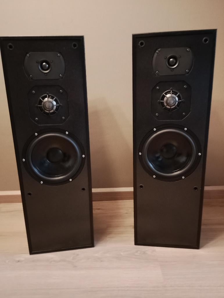luidsprekers zelfbouw, seas ca22rnx, visaton dsm 50 ffl, Audio, Tv en Foto, Luidsprekers, Gebruikt, 60 tot 120 watt, Front, Rear of Stereo speakers