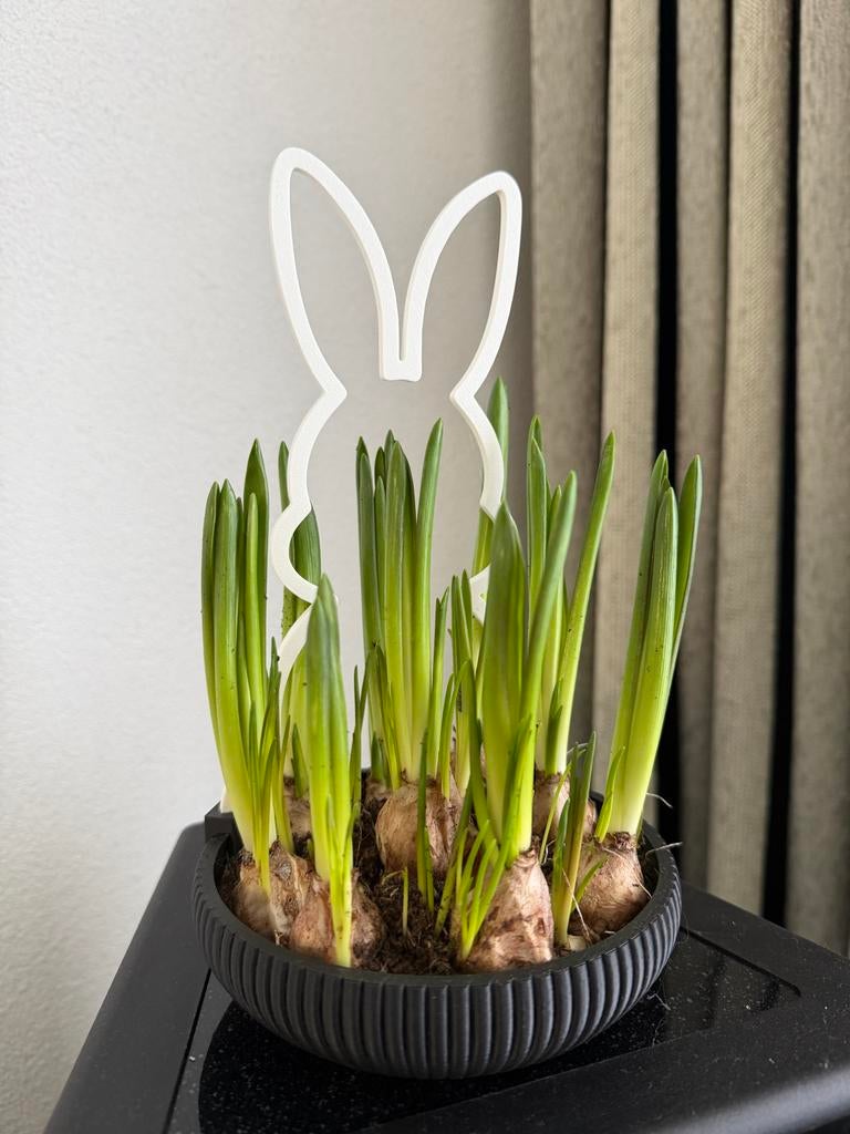 Paas schaaltje met konijn - decoratief, Kunststof, Rond, Binnen, Ophalen of Verzenden