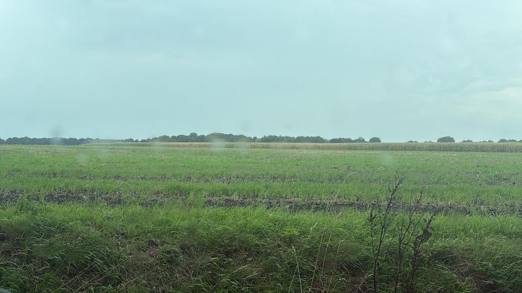 Te huur gevraagd landbouw grond gras of bouwland, Zakelijke goederen, Agrarisch | Agrarisch Onroerend goed, Ophalen of Verzenden