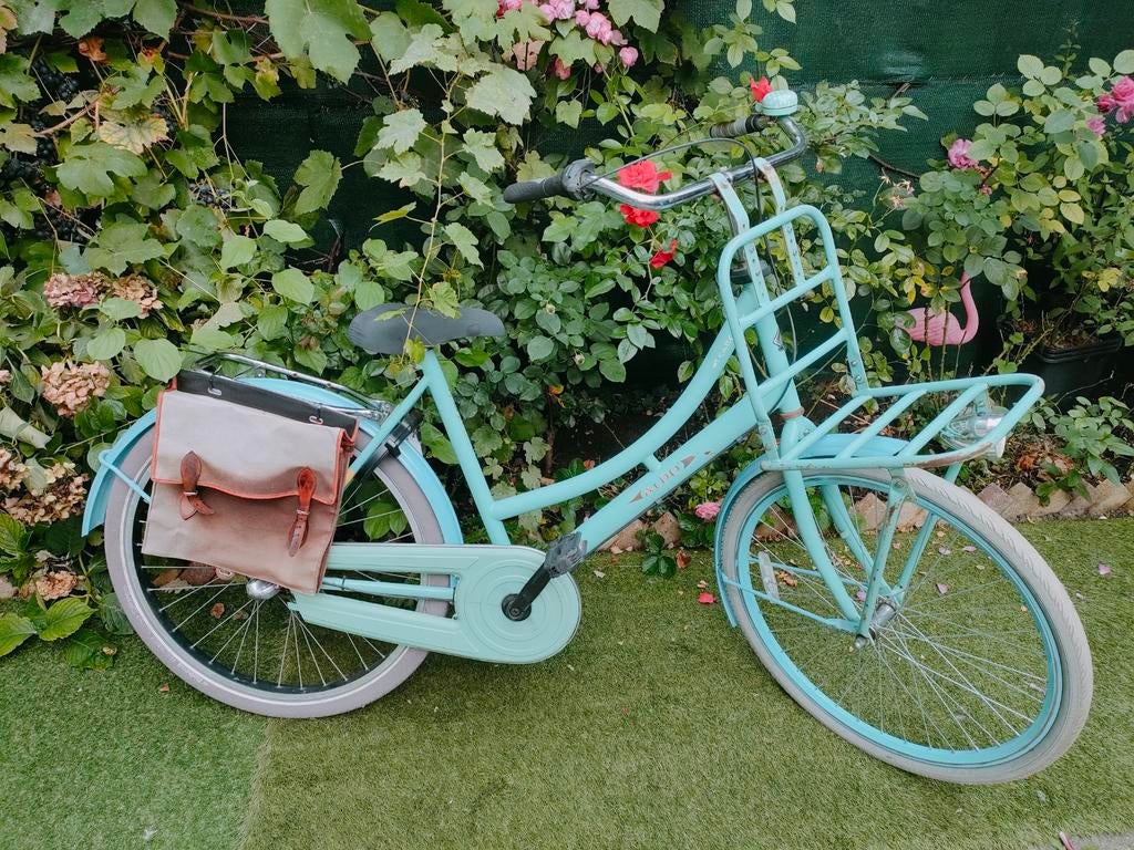 ALDO 26" Stadsfiets - Lichtblauw met Voordrager, Minder dan 47 cm, Ophalen of Verzenden, Gebruikt, Overige merken