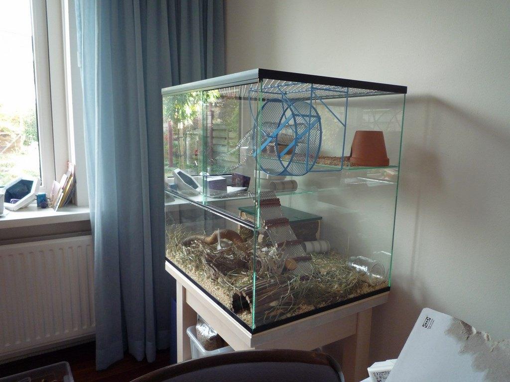 Gerbilarium geschikt voor gerbil of muis, Minder dan 60 cm, Ophalen of Verzenden, Muis, Hok