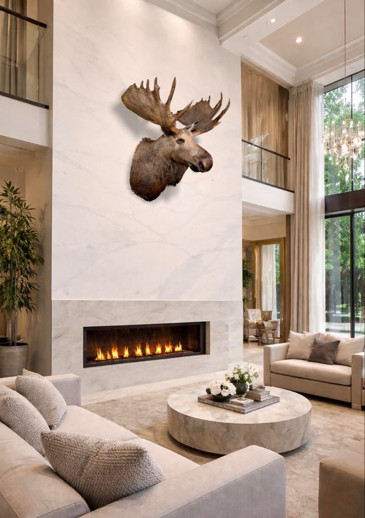 Opgezette eland, Ophalen