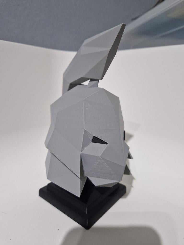 Old School Runescape Ironman Helm 3D Print, Ophalen of Verzenden, Zo goed als nieuw, Wanddecoratie