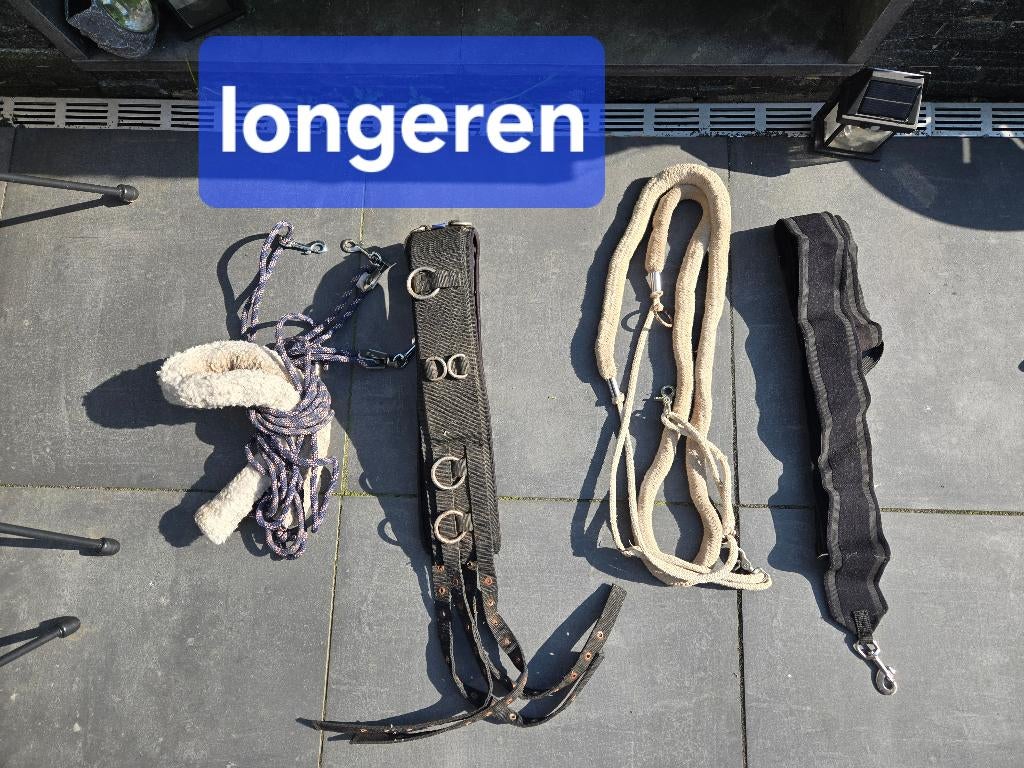 Longeren, rijden, hoofdstellen, longeerhulp, Ophalen of Verzenden, Zo goed als nieuw, Dressuur