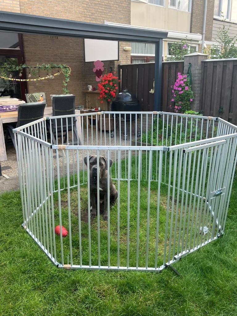 Puppyren Hondenren Puppy Play Aluminium - Diverse Maten, Ophalen of Verzenden, Nieuw