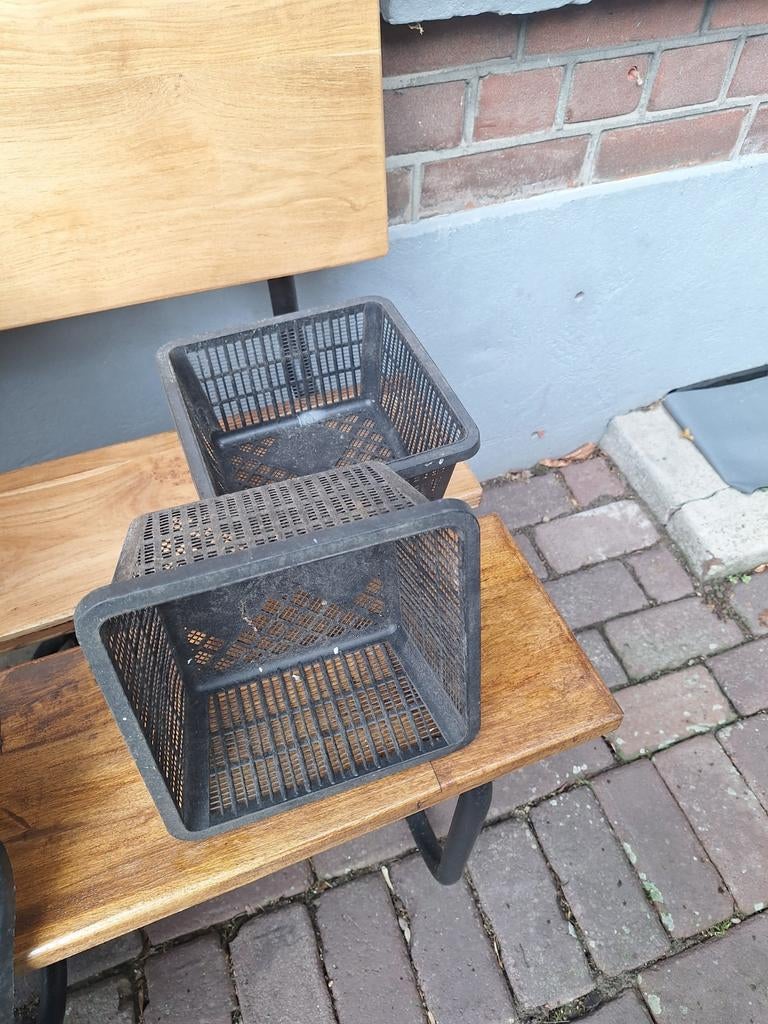 Vijvermanden, Ophalen of Verzenden