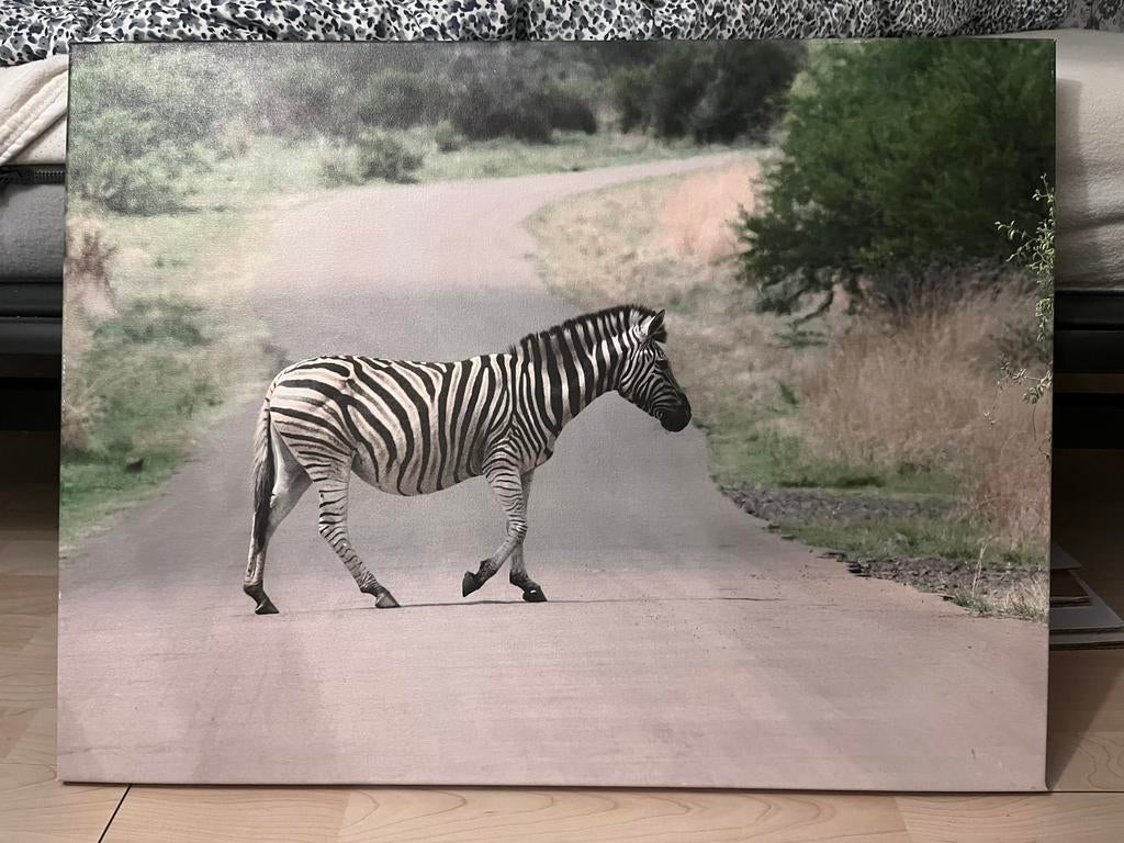 Canvas zebra gemaakt in afrika, Antiek en Kunst, Ophalen
