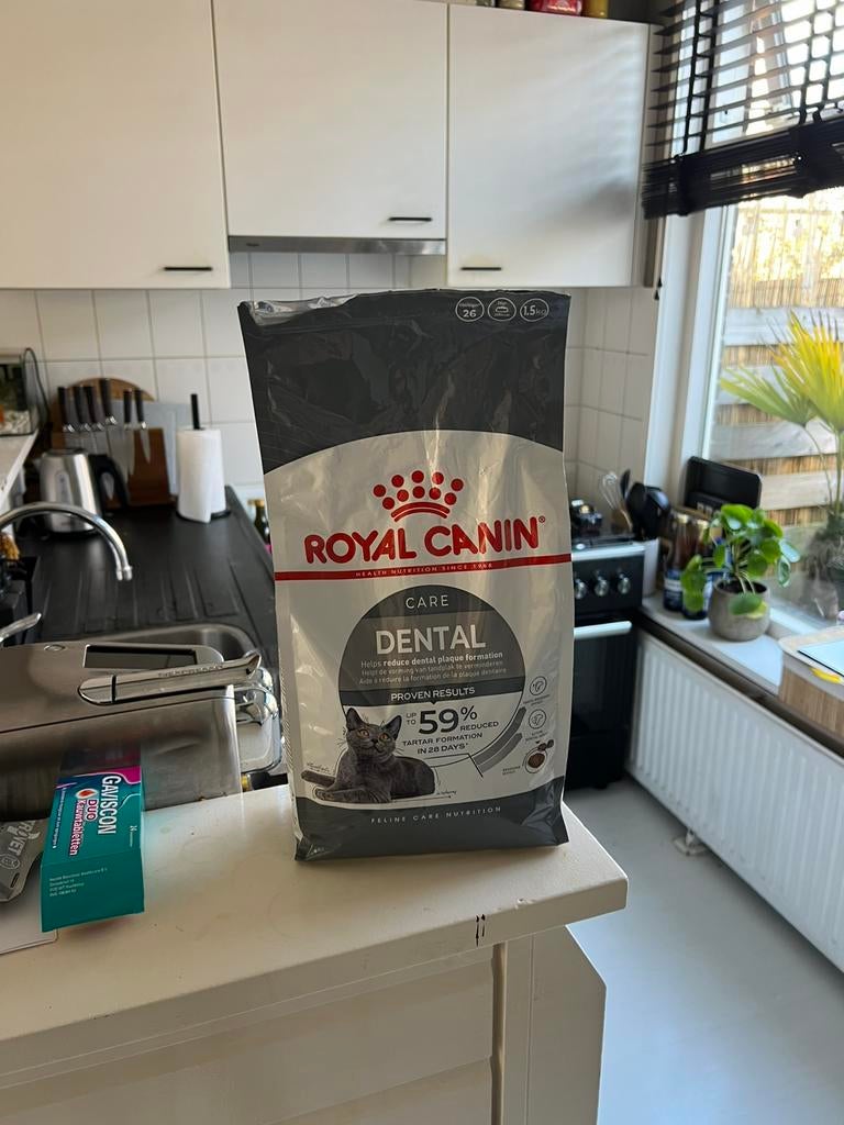 Royal Canin Dental droog voer, Ophalen of Verzenden, Kat