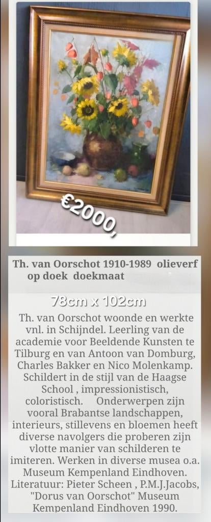 Th. van Oorschot Olieverf: Zonnebloemen en Lampionplantjes, Ophalen of Verzenden