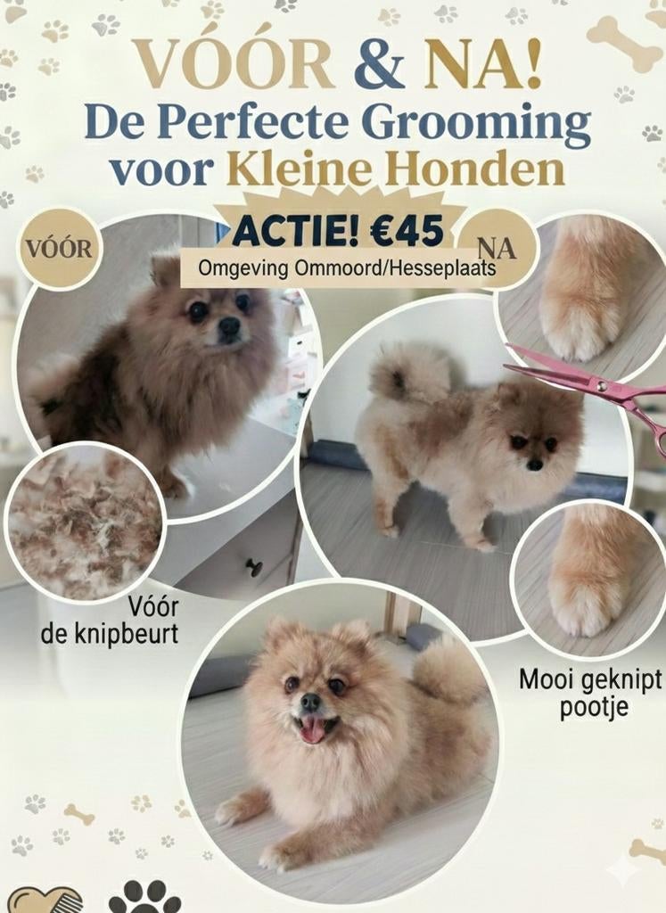 Honden trimmen, Boeken, Ophalen of Verzenden, Zo goed als nieuw, Honden